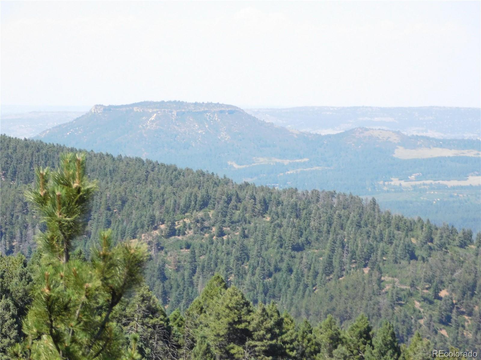 13670 Spruce Creek Circle Larkspur CO 80118