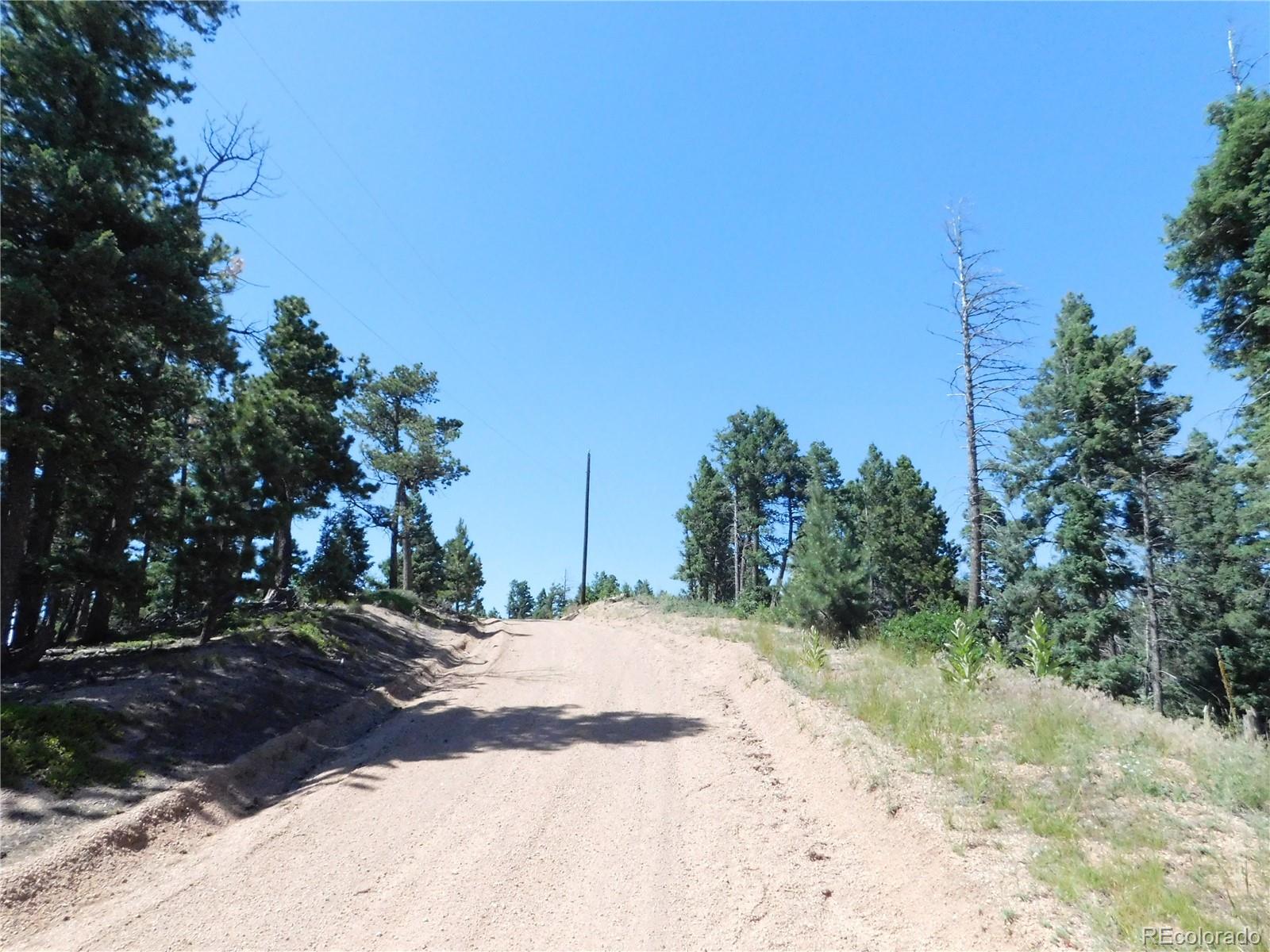 13670 Spruce Creek Circle Larkspur CO 80118