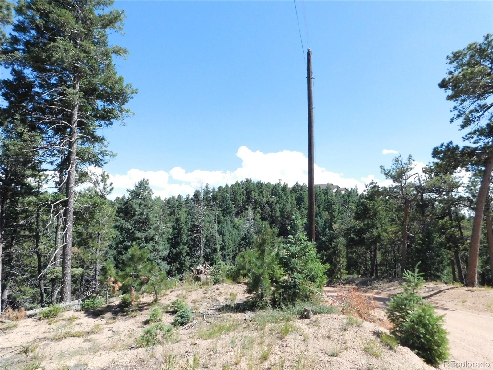 13670 Spruce Creek Circle Larkspur CO 80118