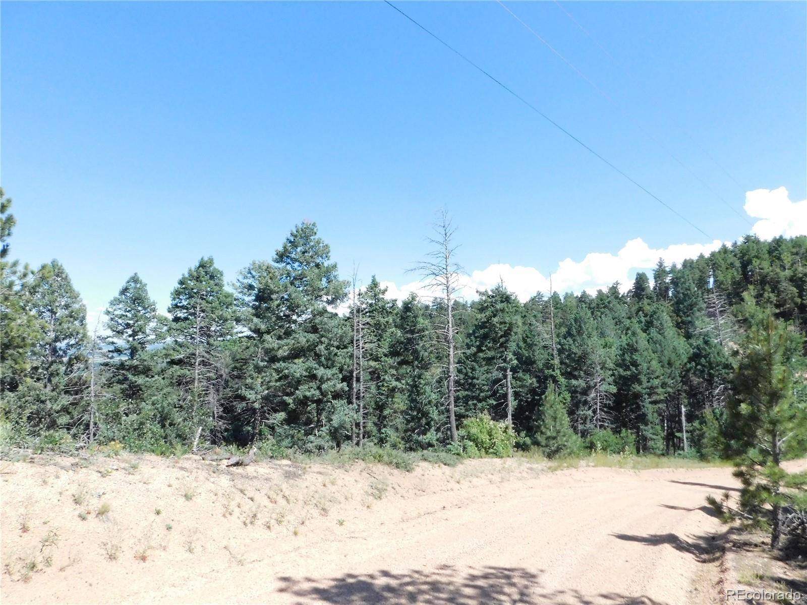 13670 Spruce Creek Circle Larkspur CO 80118