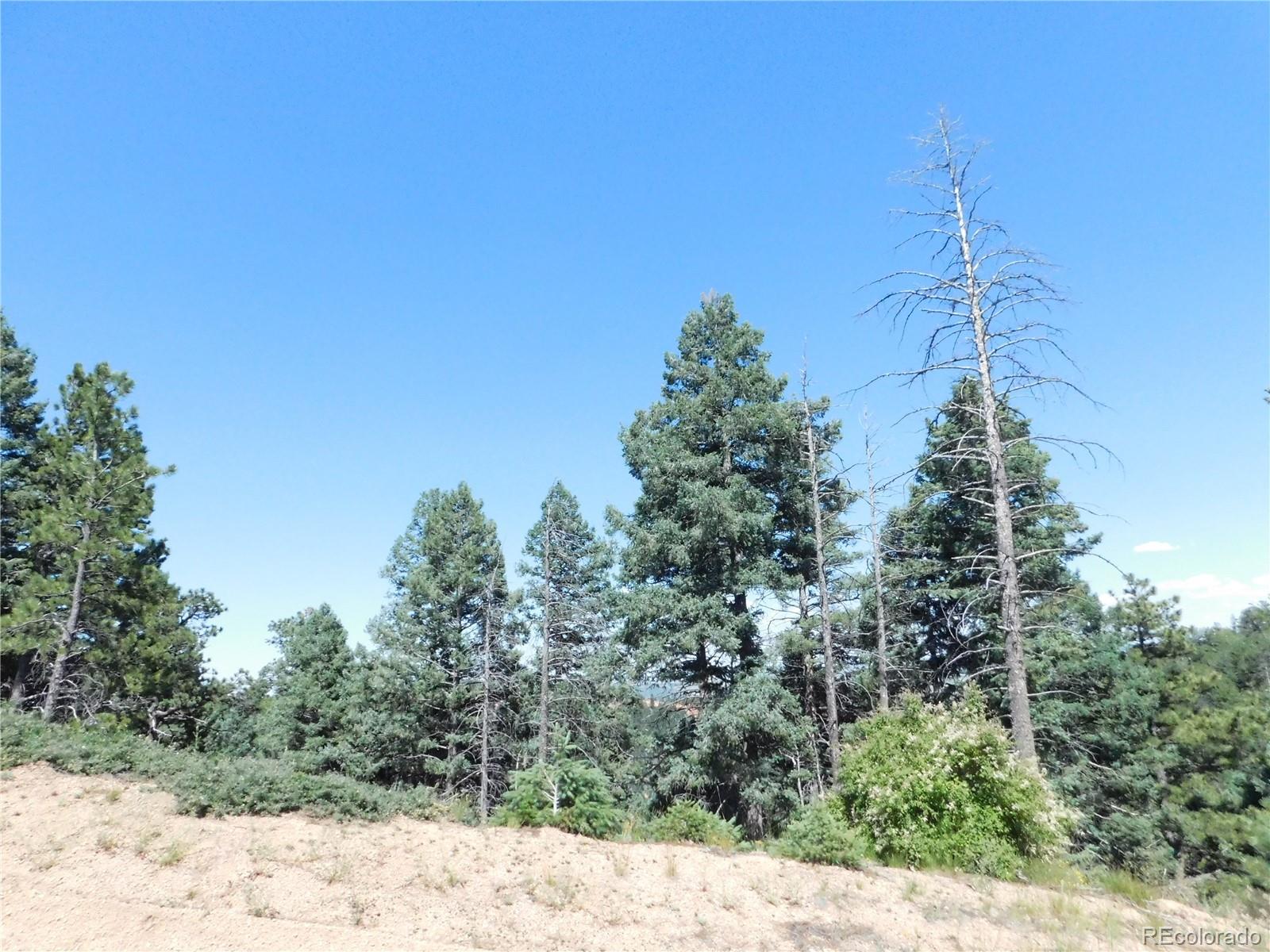 13670 Spruce Creek Circle Larkspur CO 80118