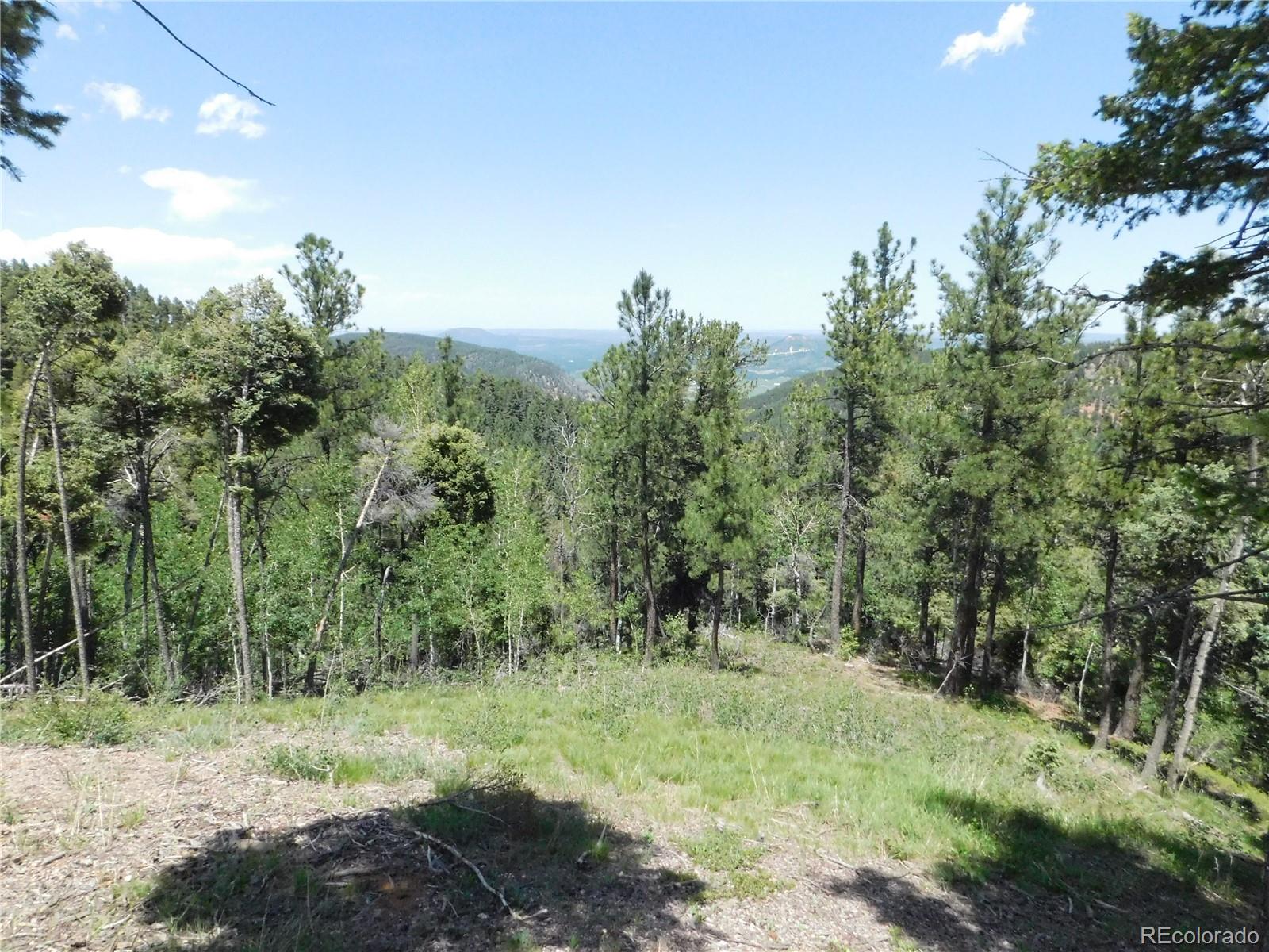 13670 Spruce Creek Circle Larkspur CO 80118