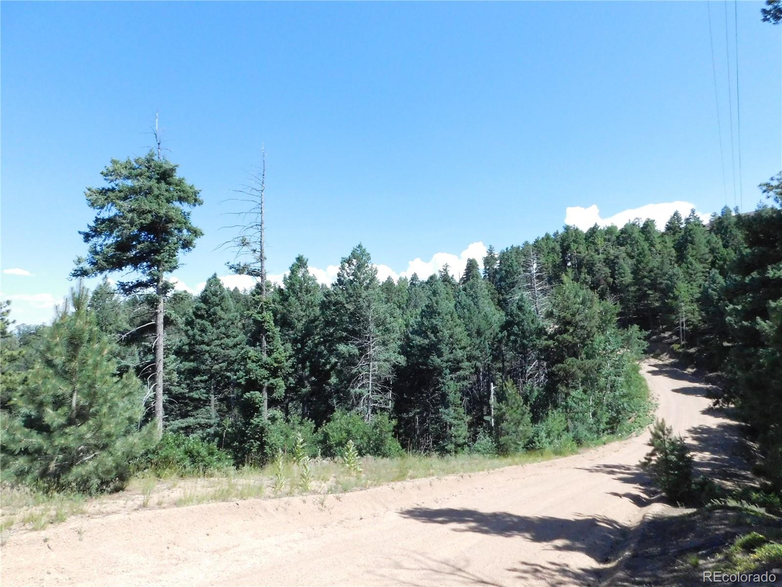 13670 Spruce Creek Circle Larkspur CO 80118