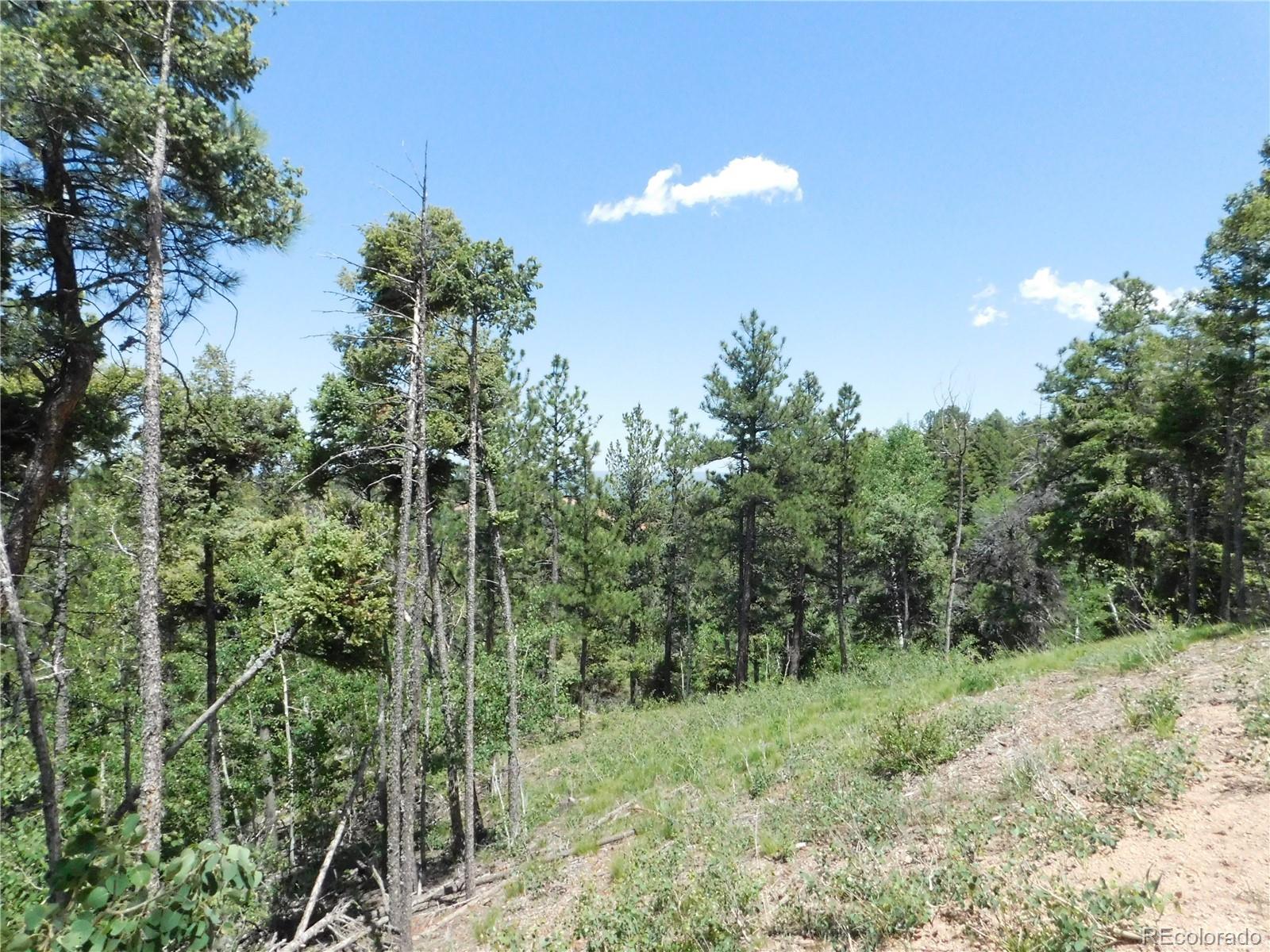 13670 Spruce Creek Circle Larkspur CO 80118