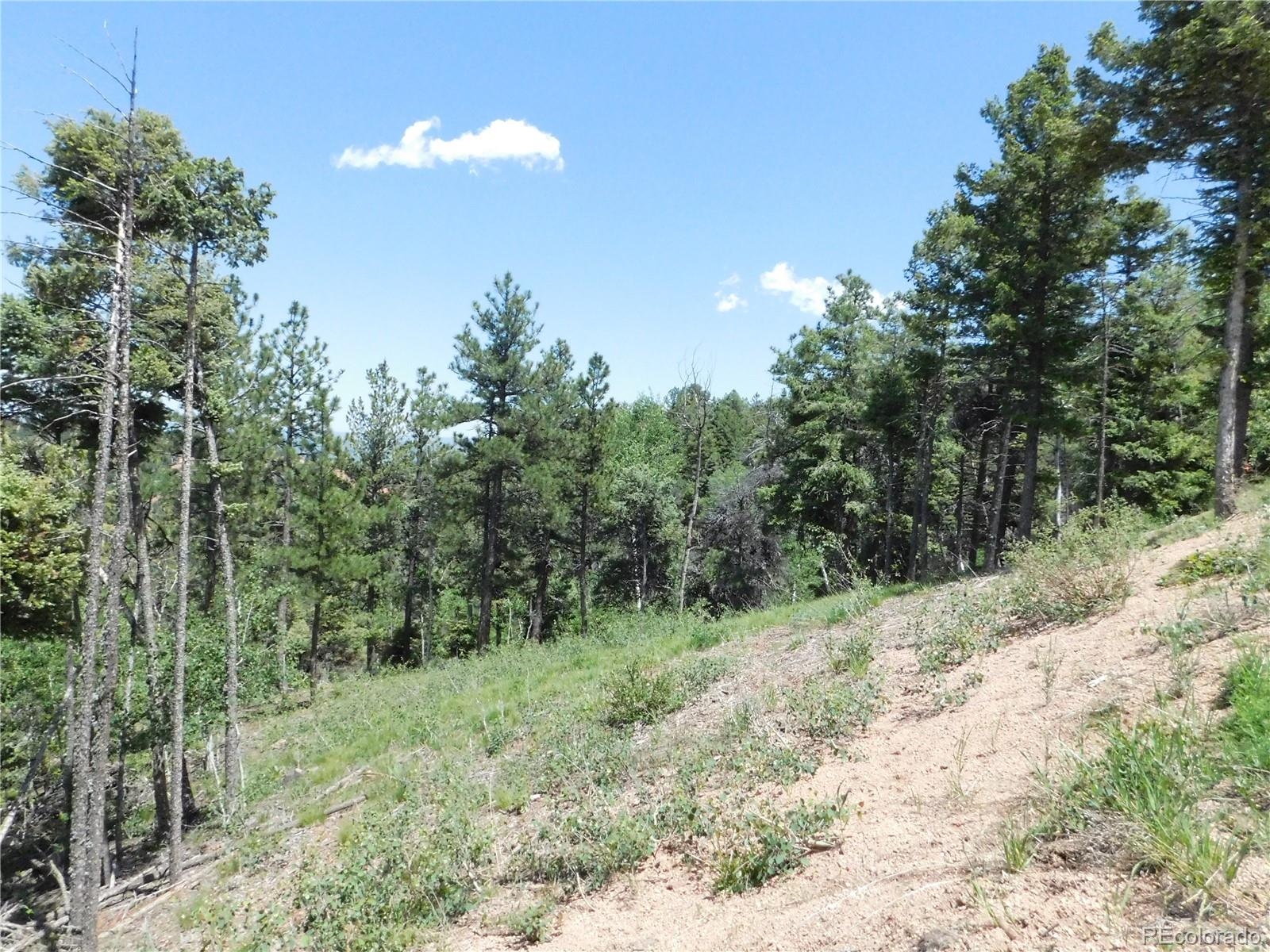 13670 Spruce Creek Circle Larkspur CO 80118