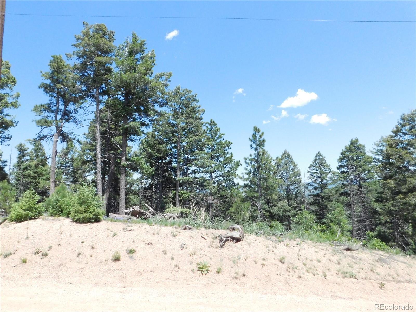 13670 Spruce Creek Circle Larkspur CO 80118