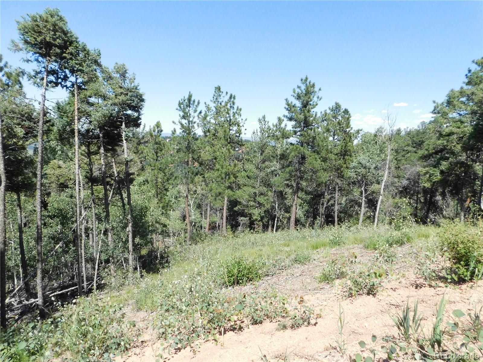 13670 Spruce Creek Circle Larkspur CO 80118