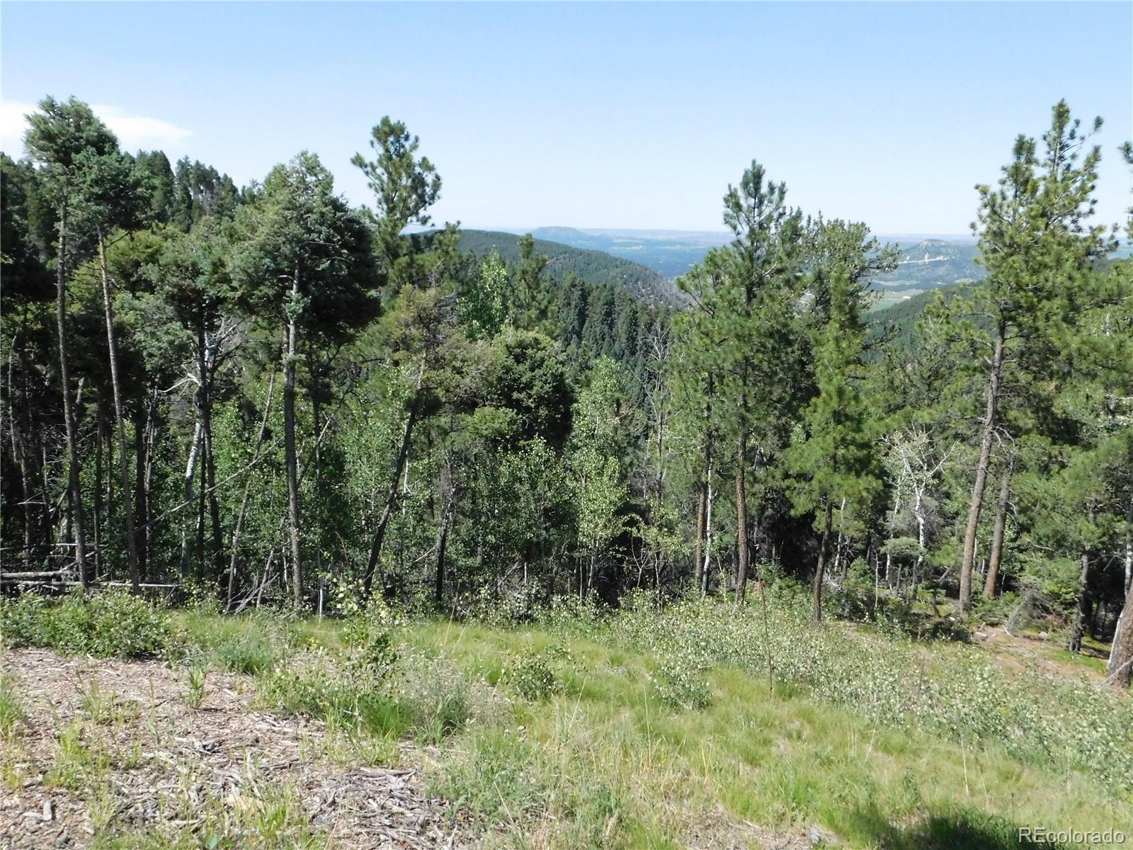 13670 Spruce Creek Circle Larkspur CO 80118