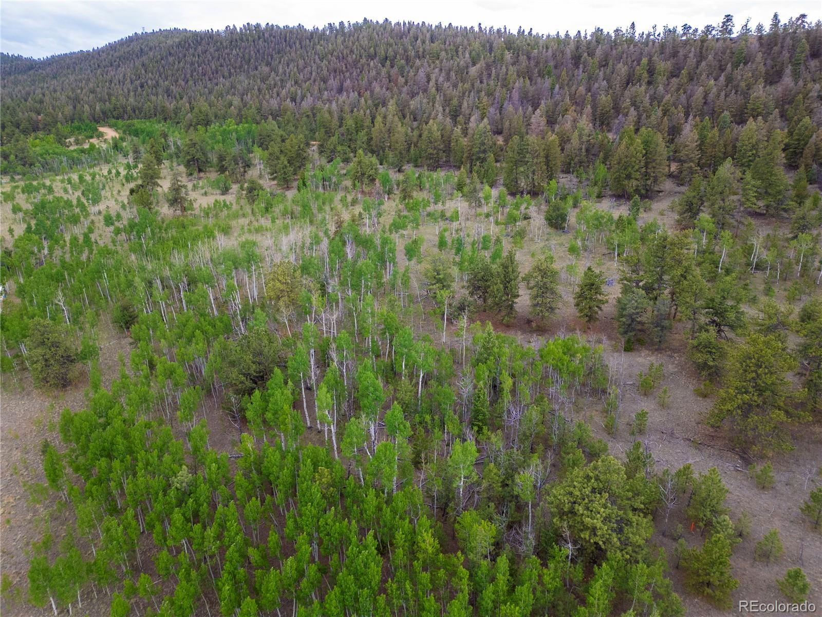 2396 Fitzsimmons Road Hartsel CO 80449