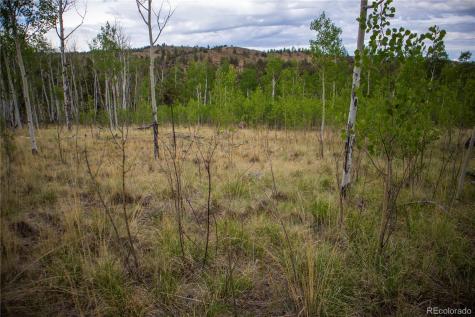 2396 Fitzsimmons Road Hartsel CO 80449