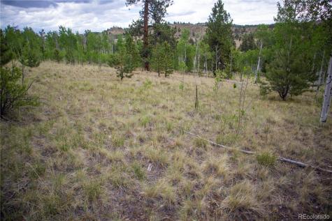 2396 Fitzsimmons Road Hartsel CO 80449