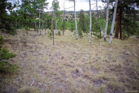 2396 Fitzsimmons Road Hartsel CO 80449