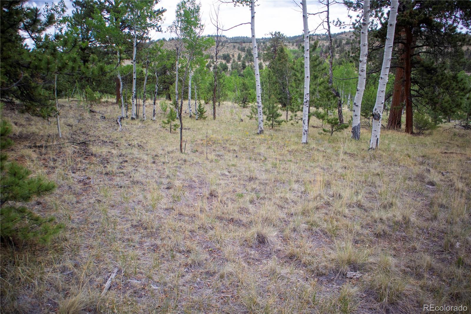 2396 Fitzsimmons Road Hartsel CO 80449