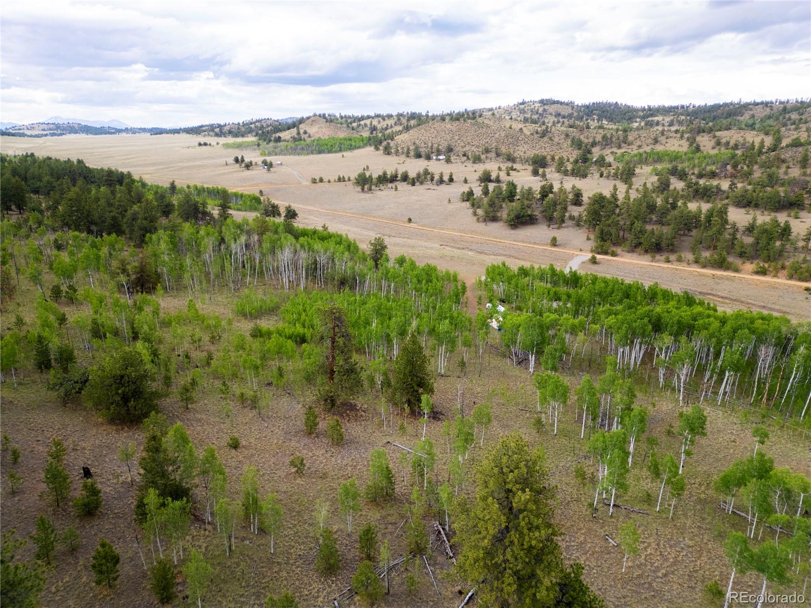 2396 Fitzsimmons Road Hartsel CO 80449