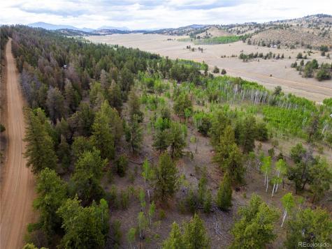 2396 Fitzsimmons Road Hartsel CO 80449