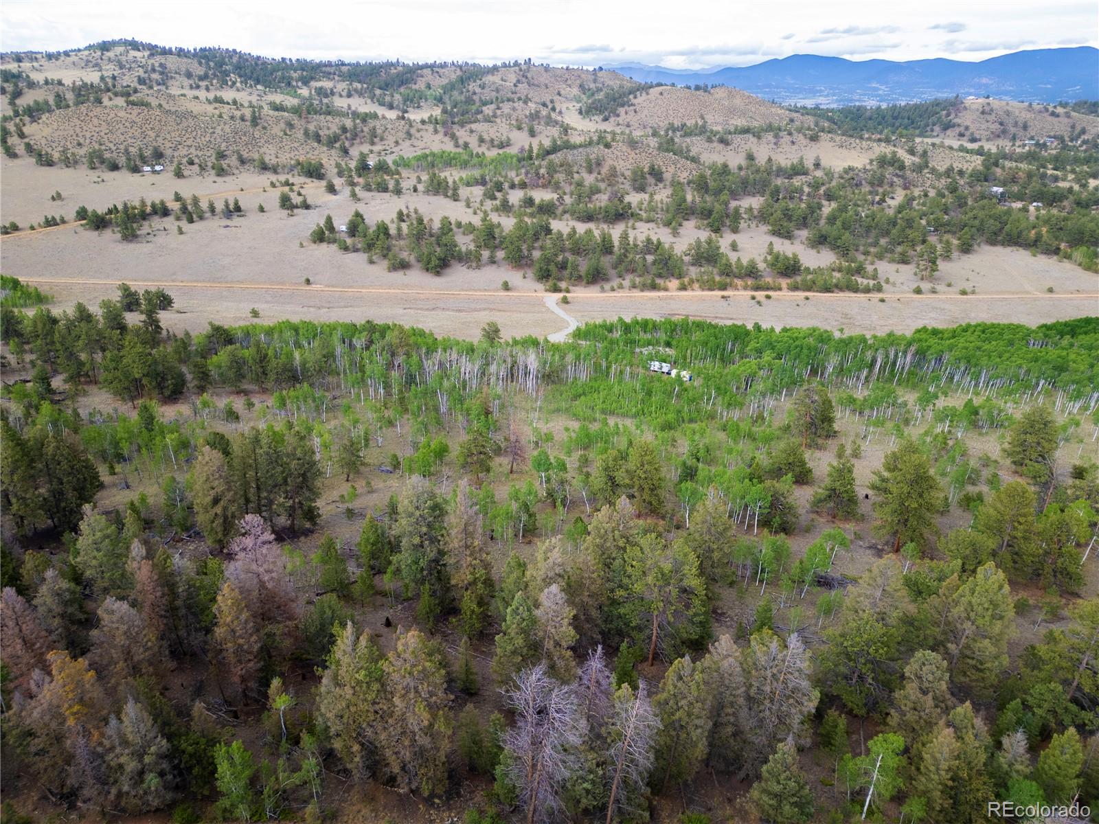 2396 Fitzsimmons Road Hartsel CO 80449