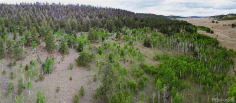 2396 Fitzsimmons Road Hartsel CO 80449