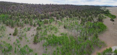 2396 Fitzsimmons Road Hartsel CO 80449