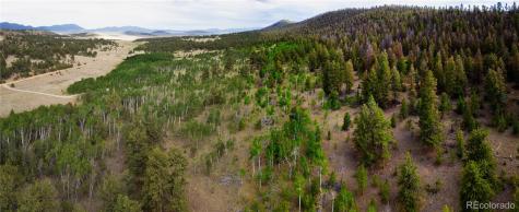 2396 Fitzsimmons Road Hartsel CO 80449