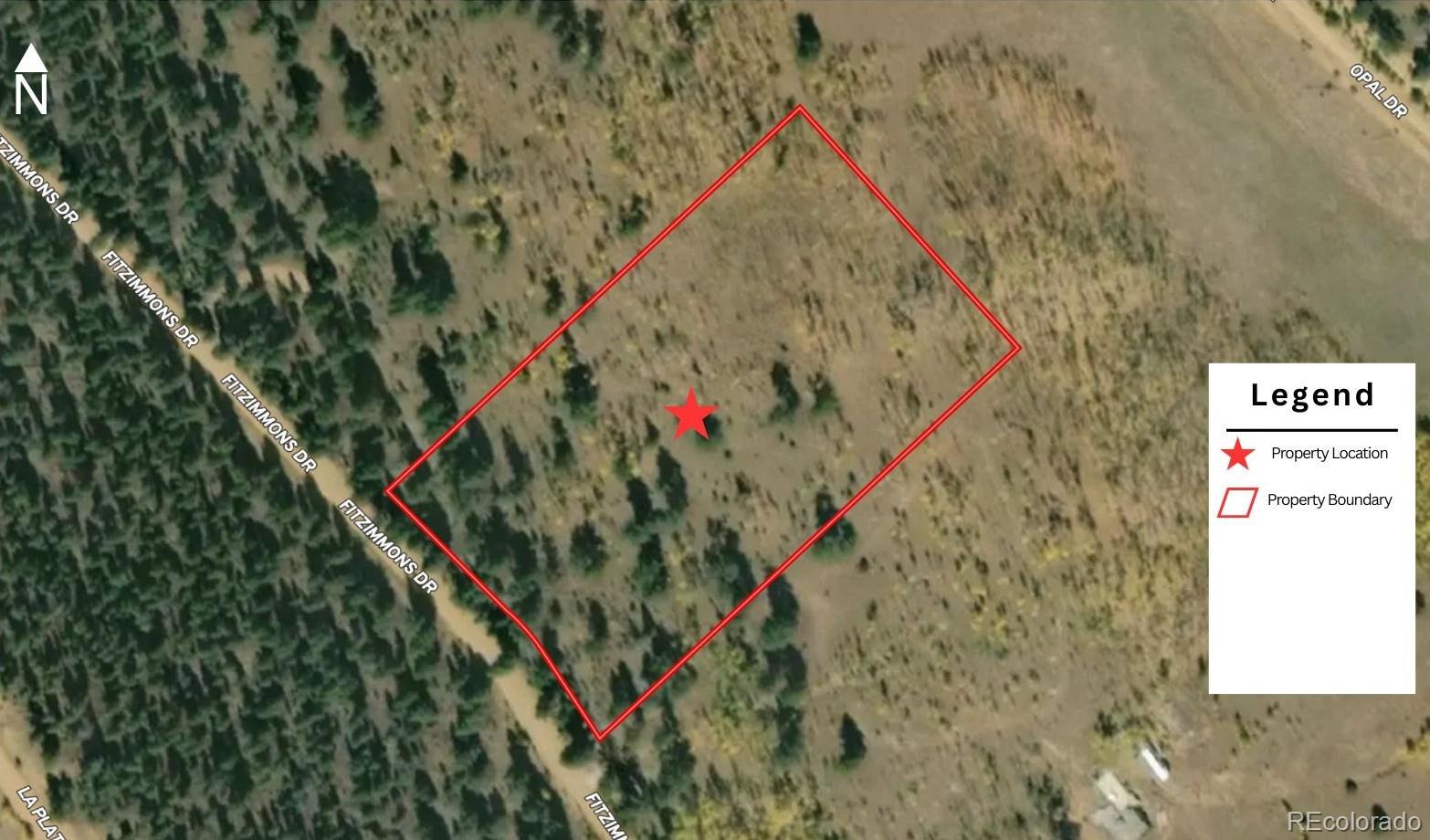 2396 Fitzsimmons Road Hartsel CO 80449