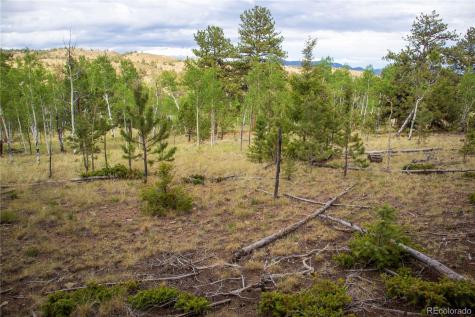 2396 Fitzsimmons Road Hartsel CO 80449