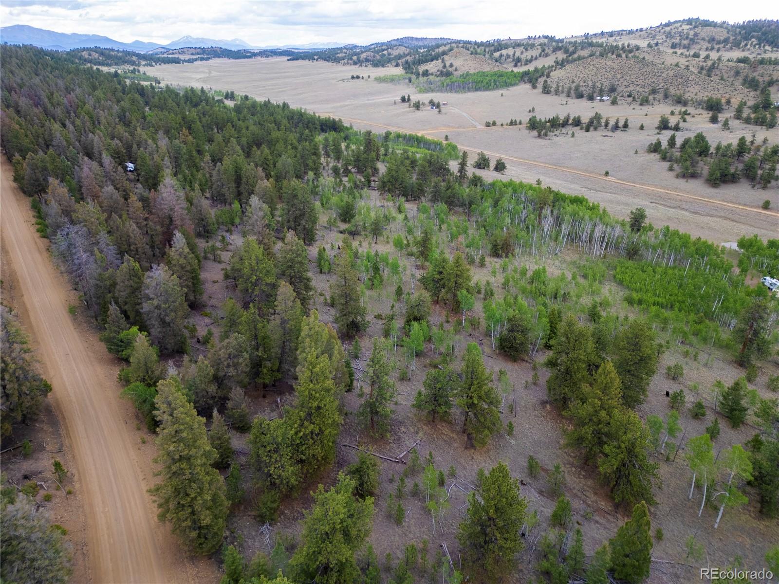 2396 Fitzsimmons Road Hartsel CO 80449
