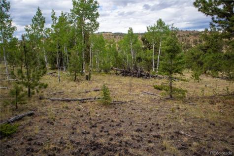 2396 Fitzsimmons Road Hartsel CO 80449