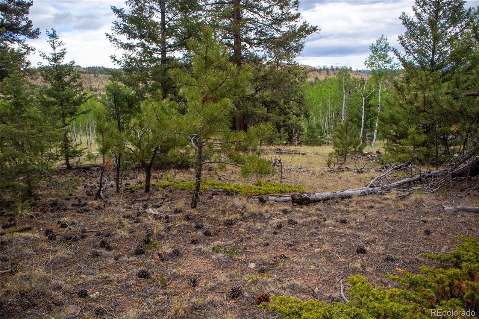 2396 Fitzsimmons Road Hartsel CO 80449