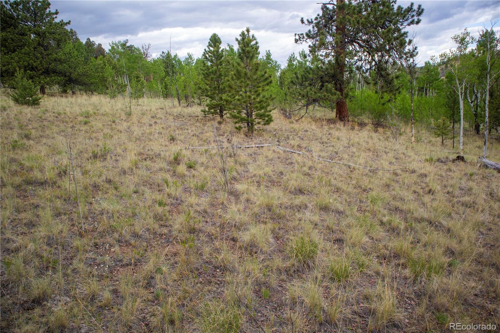 2396 Fitzsimmons Road Hartsel CO 80449