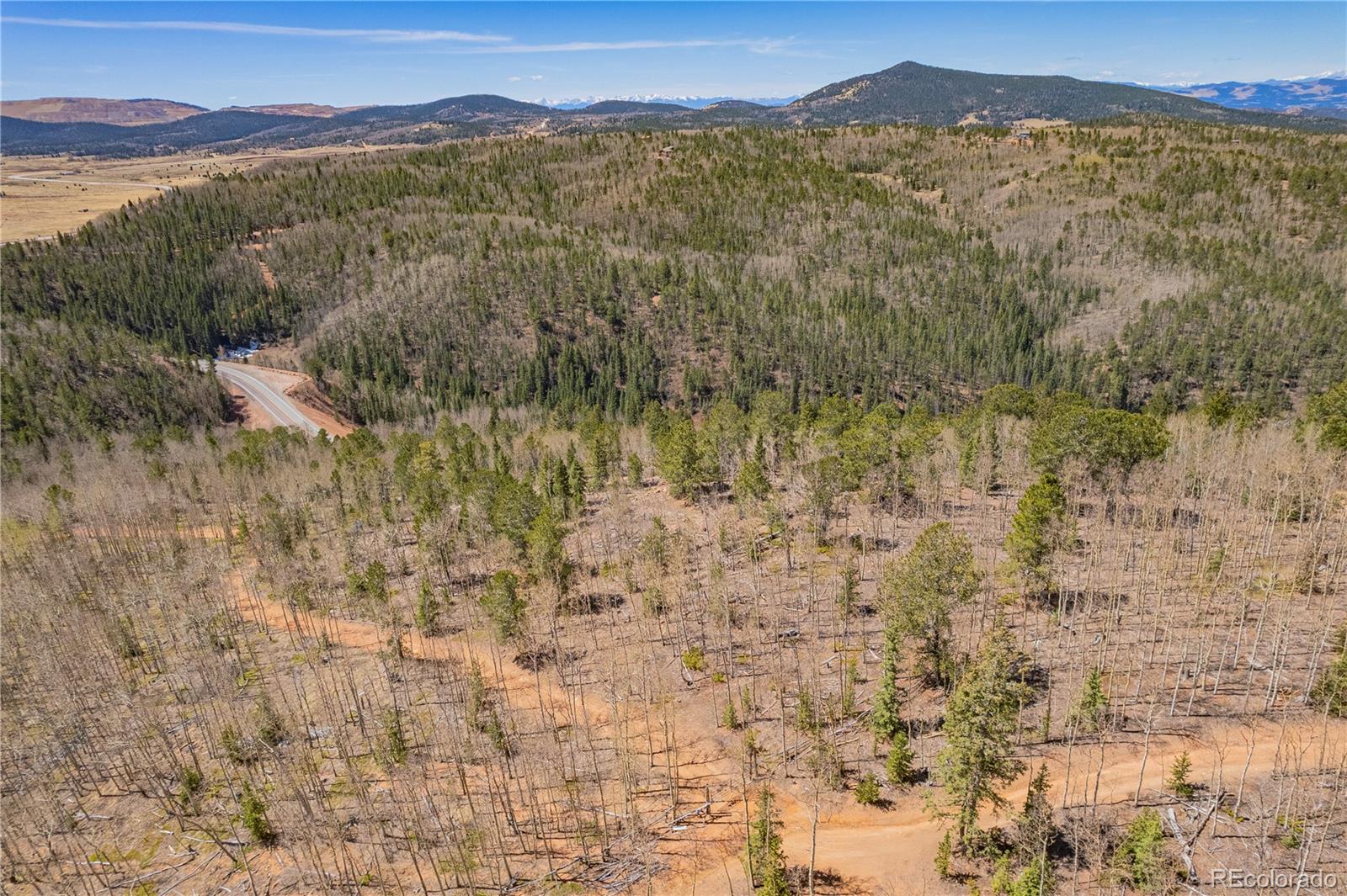 0 S Highway 67 Cripple Creek CO 80813
