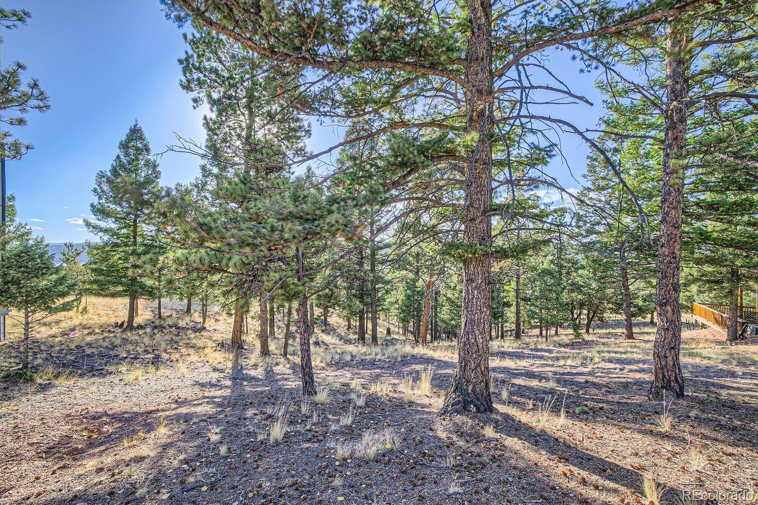 37 Amanda Circle Florissant CO 80816