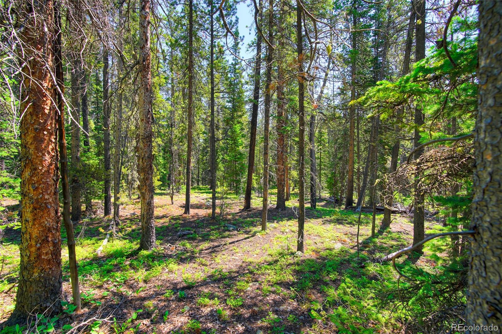 158 Bryce Estates Road Breckenridge CO 80424