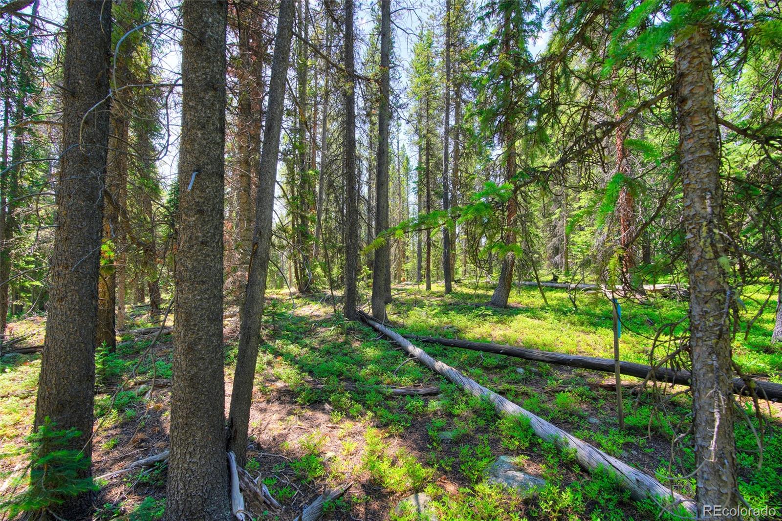 158 Bryce Estates Road Breckenridge CO 80424