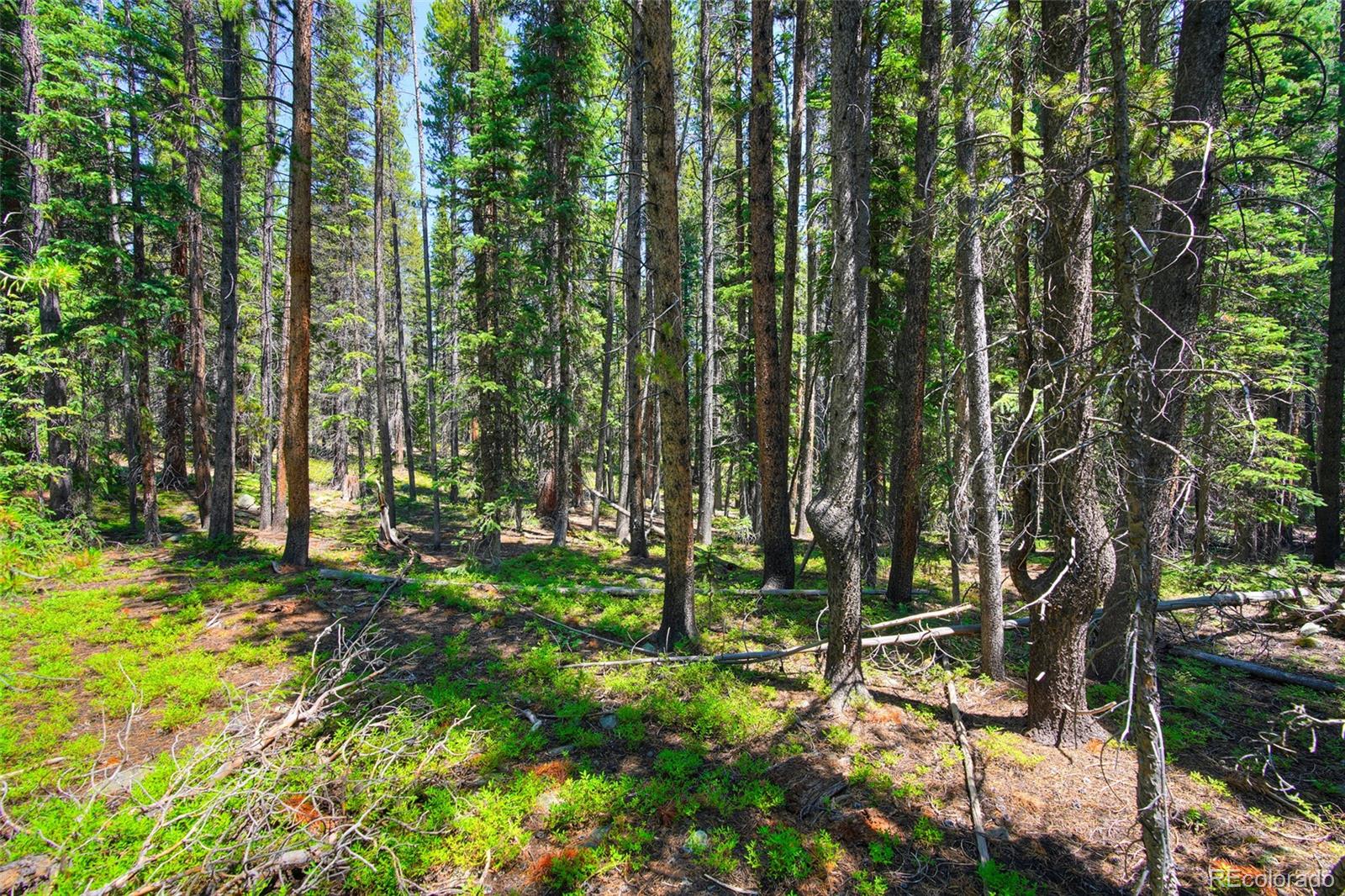 158 Bryce Estates Road Breckenridge CO 80424