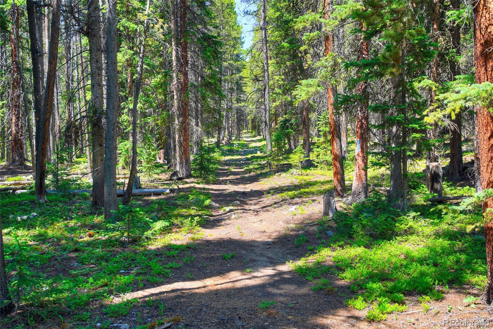 158 Bryce Estates Road Breckenridge CO 80424