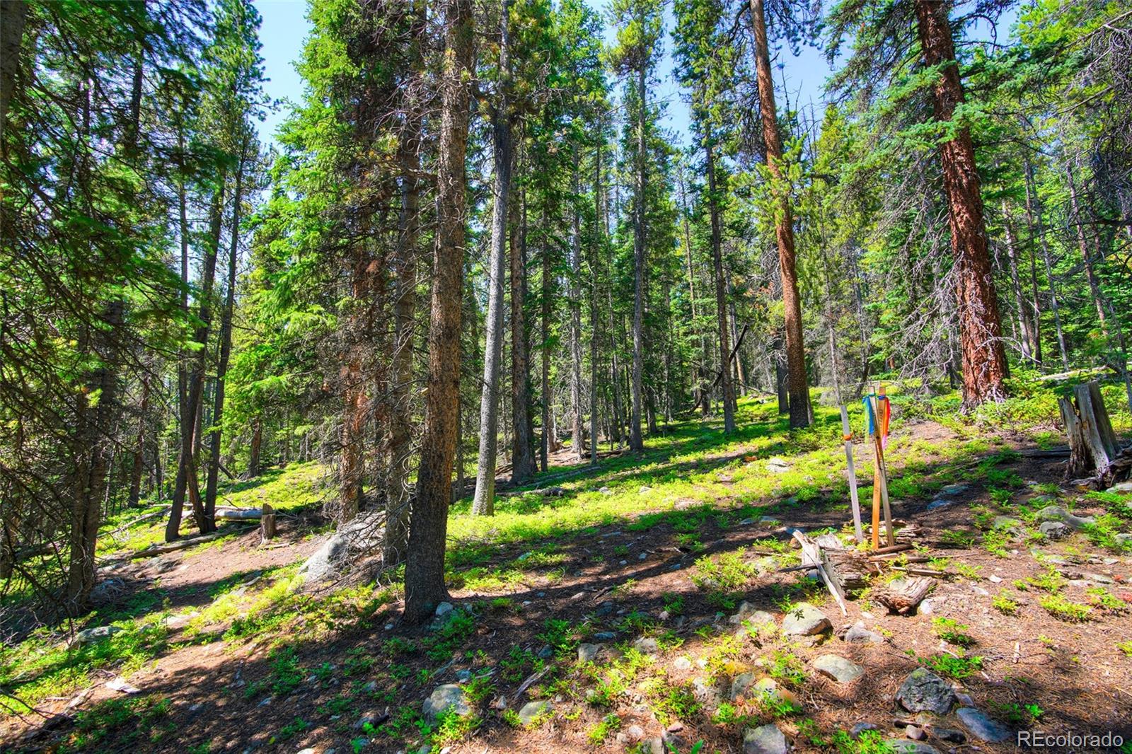 158 Bryce Estates Road Breckenridge CO 80424