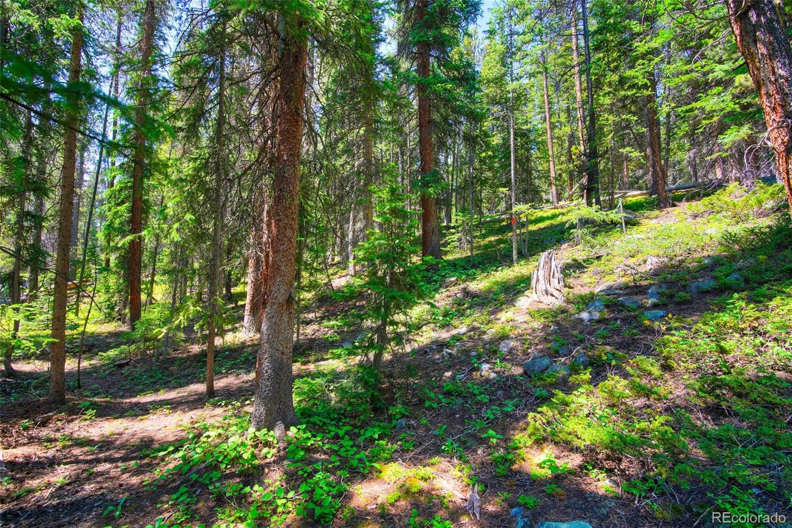 158 Bryce Estates Road Breckenridge CO 80424