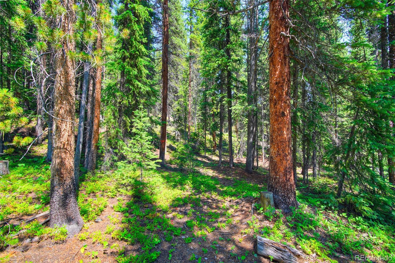 158 Bryce Estates Road Breckenridge CO 80424