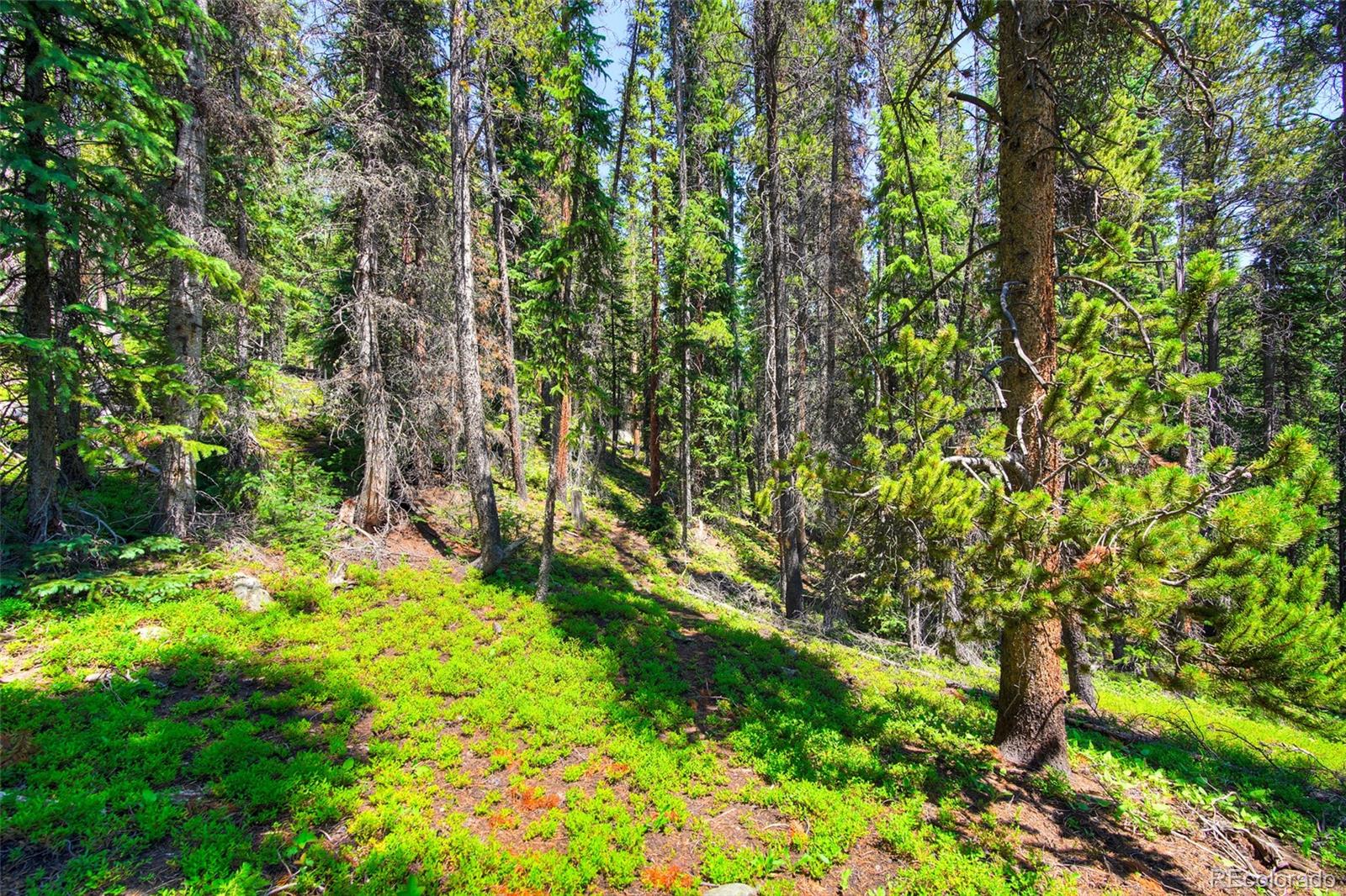 158 Bryce Estates Road Breckenridge CO 80424