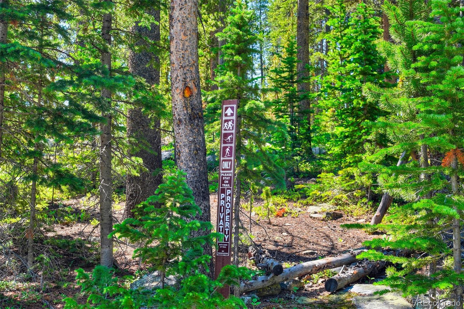 158 Bryce Estates Road Breckenridge CO 80424