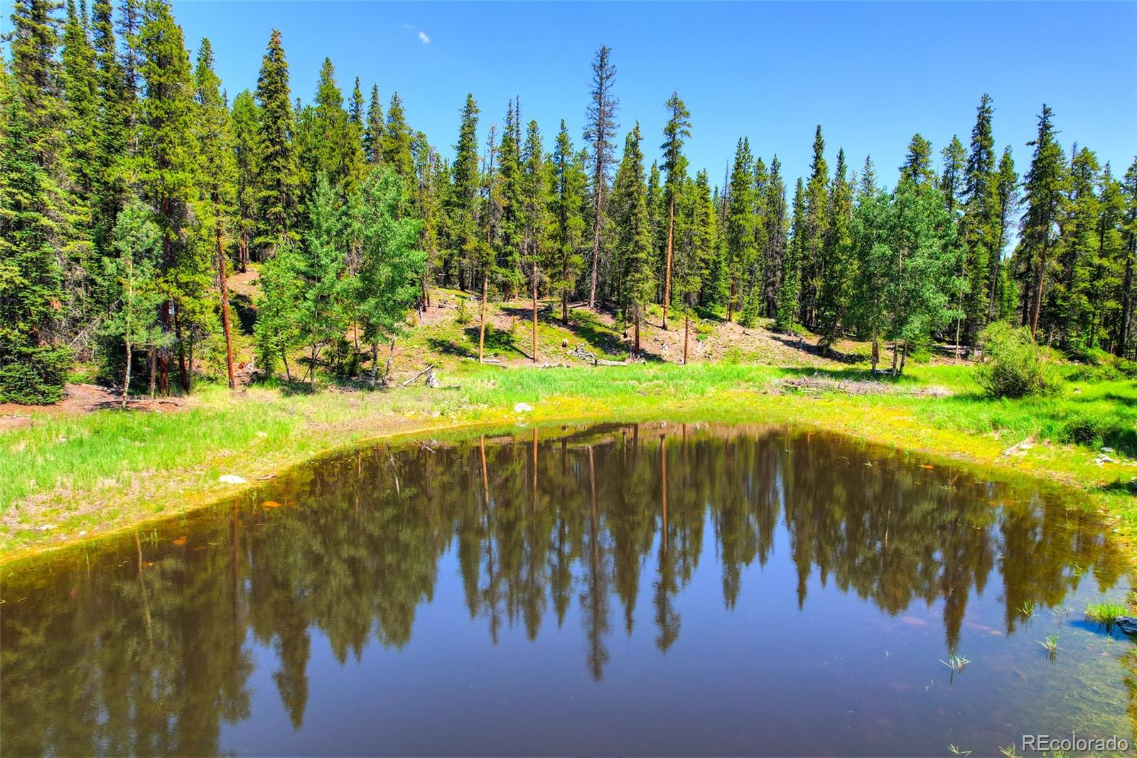 158 Bryce Estates Road Breckenridge CO 80424