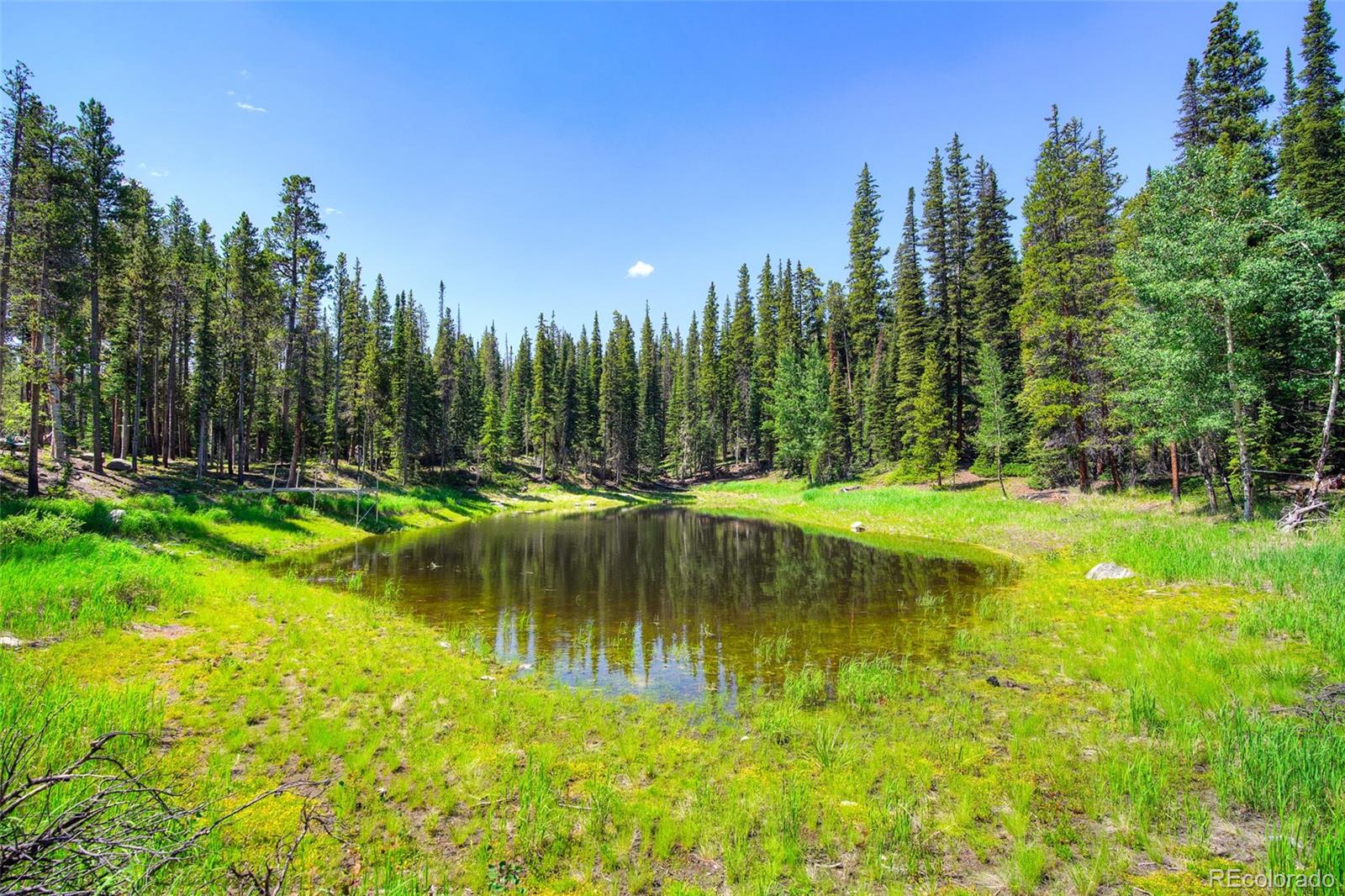 158 Bryce Estates Road Breckenridge CO 80424