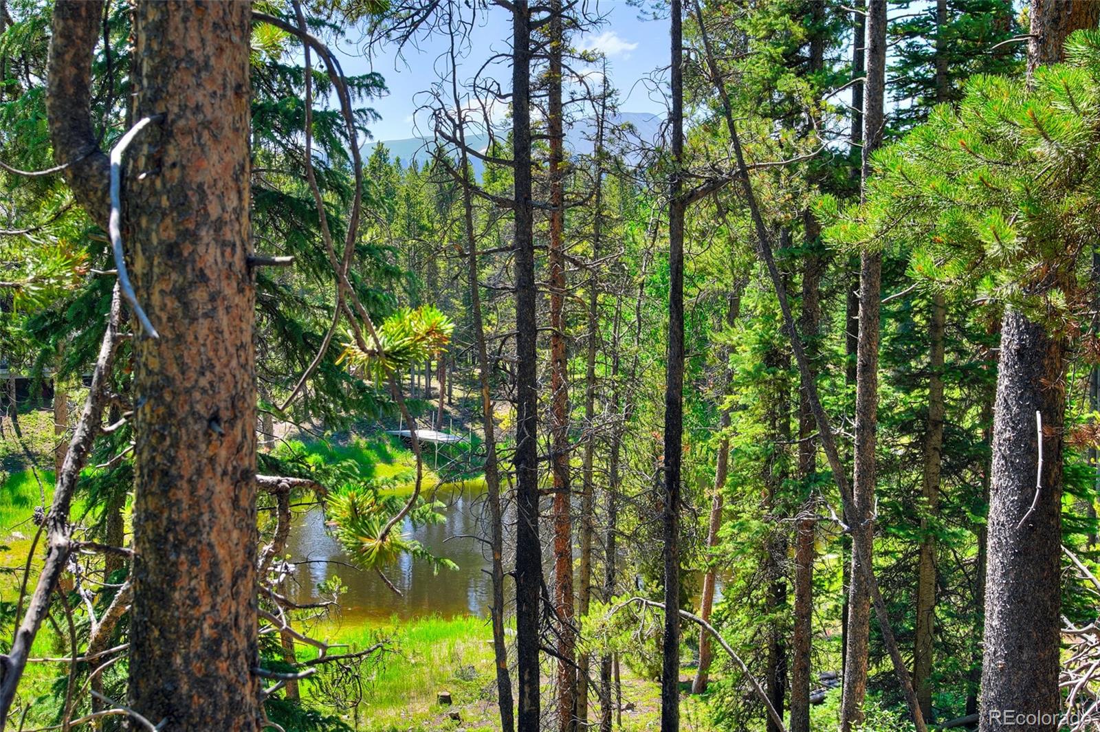 158 Bryce Estates Road Breckenridge CO 80424