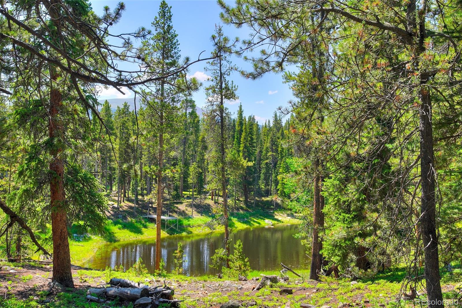 158 Bryce Estates Road Breckenridge CO 80424