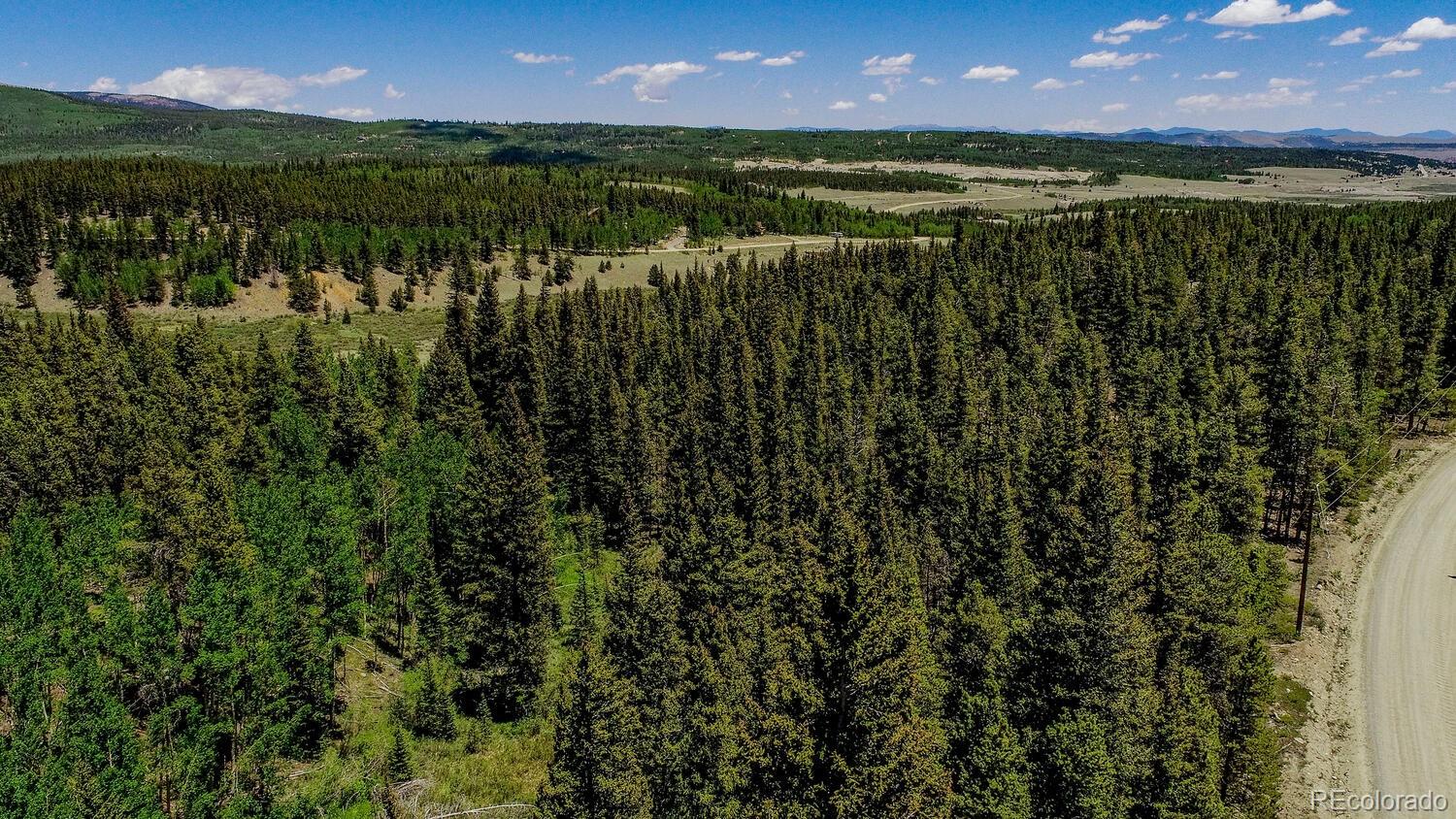 4100 Co Road 1 Fairplay CO 80440