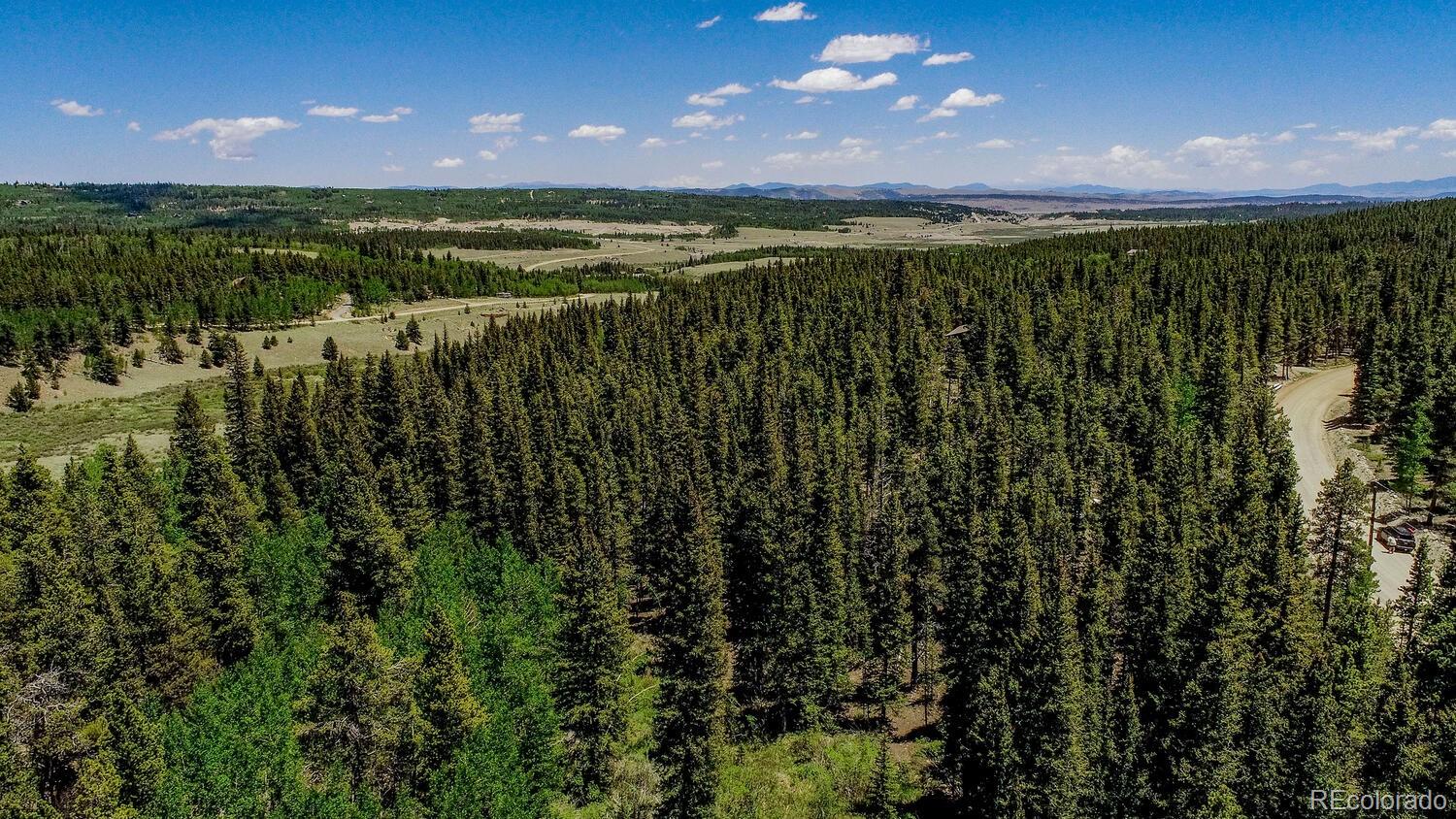 4100 Co Road 1 Fairplay CO 80440