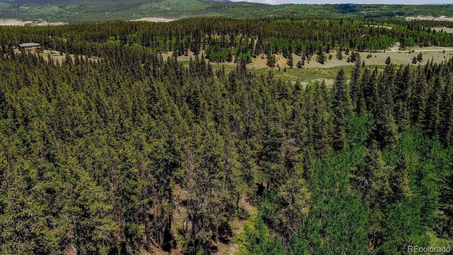 4100 Co Road 1 Fairplay CO 80440