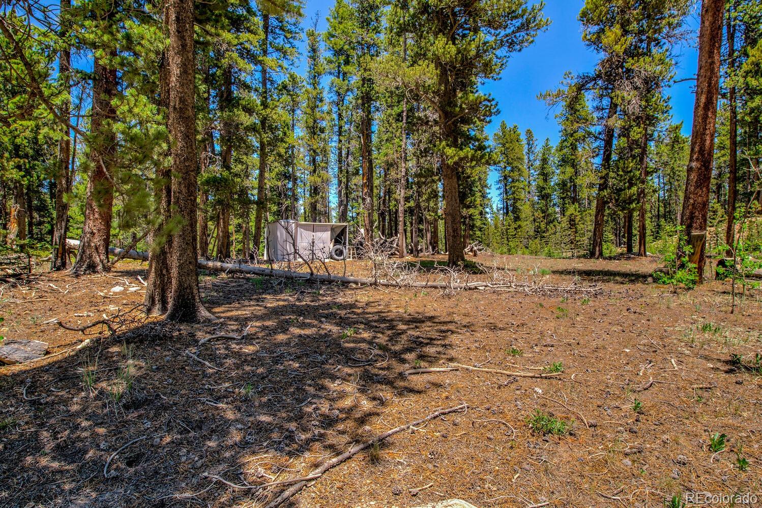4100 Co Road 1 Fairplay CO 80440
