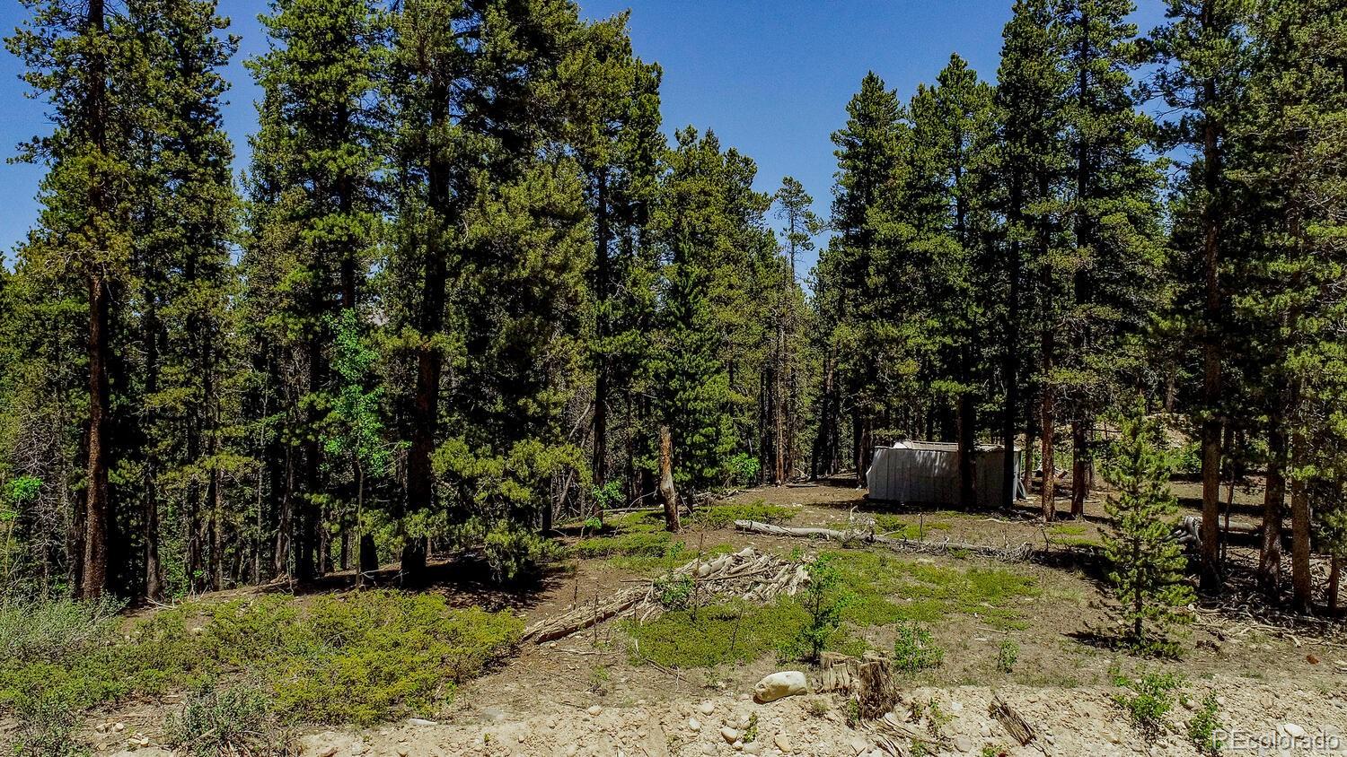 4100 Co Road 1 Fairplay CO 80440