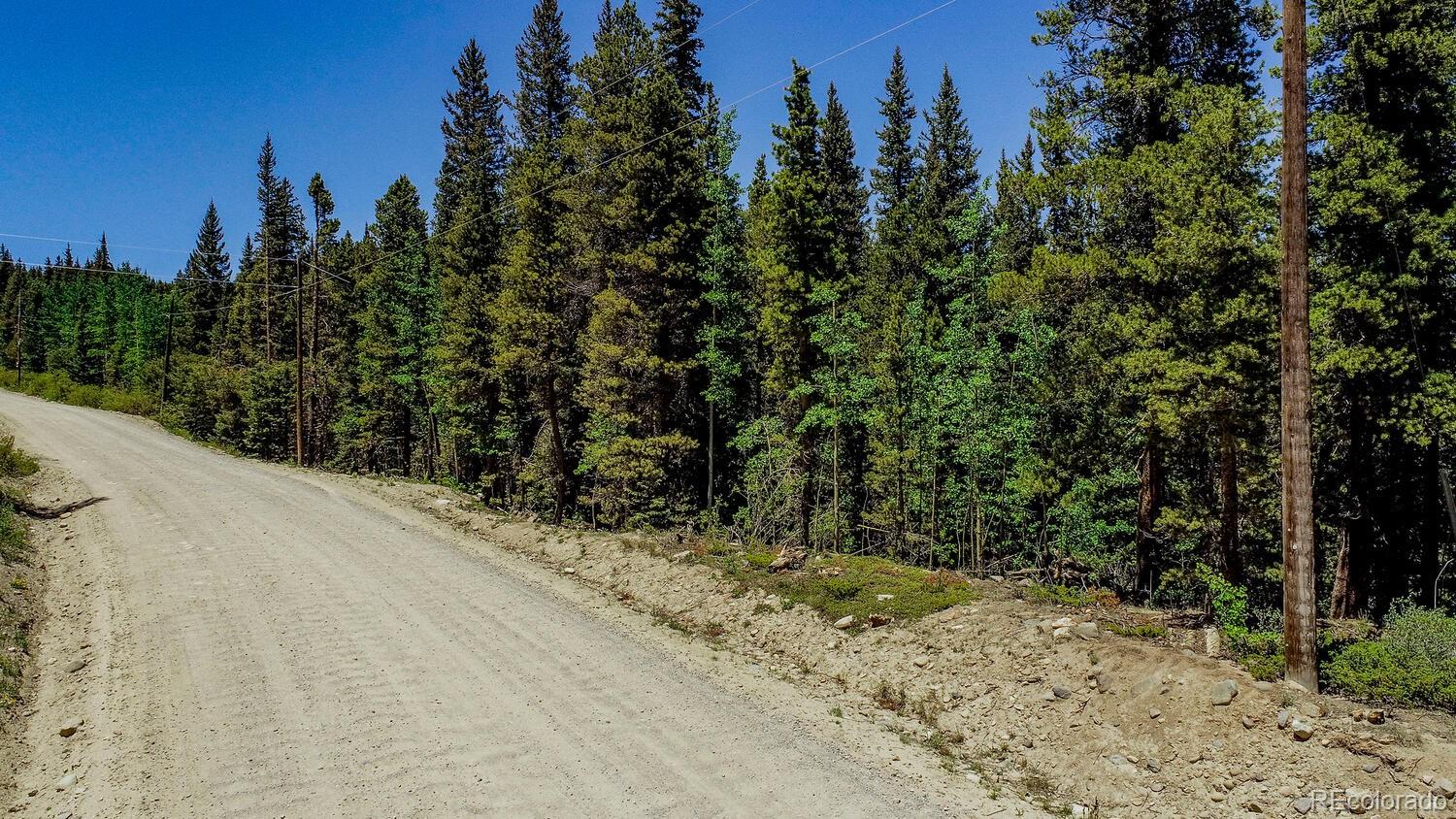 4100 Co Road 1 Fairplay CO 80440